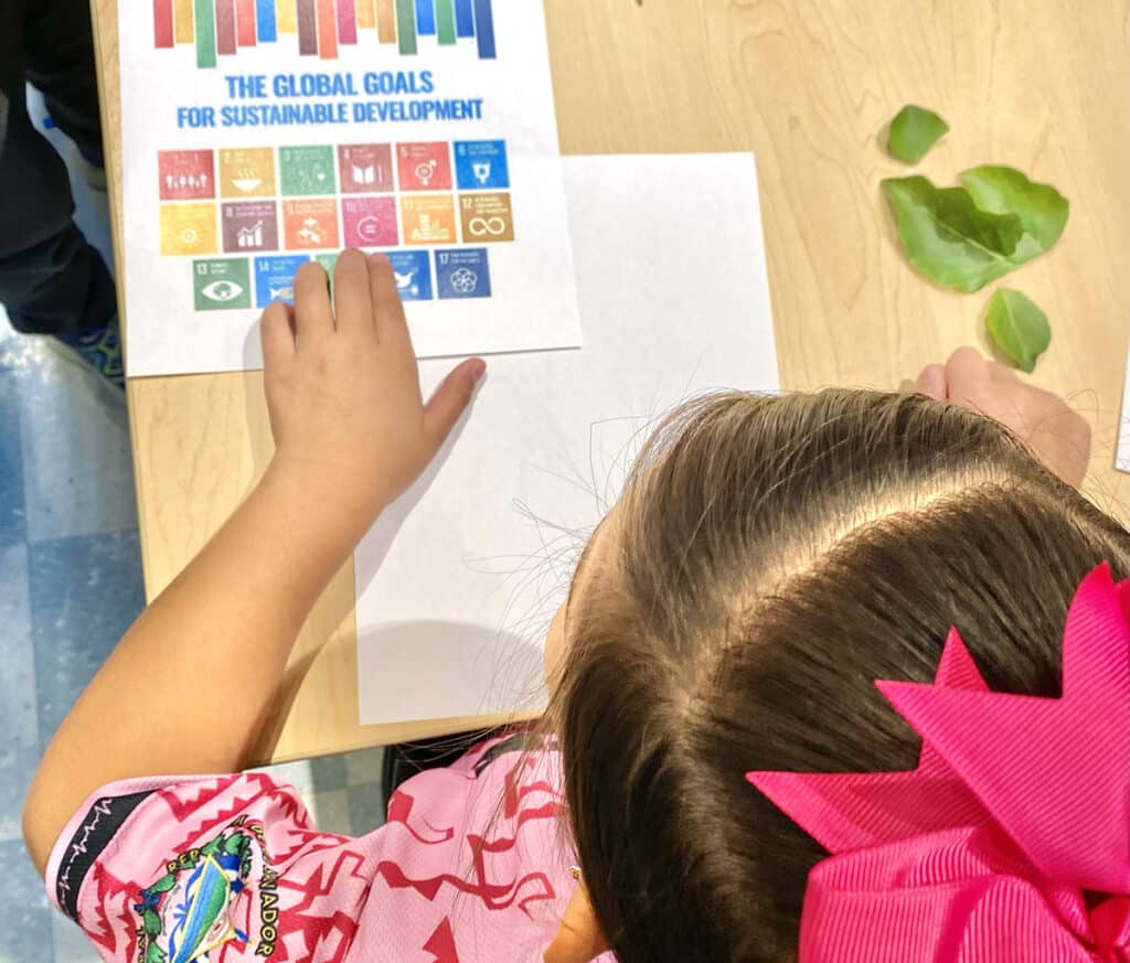 global goals