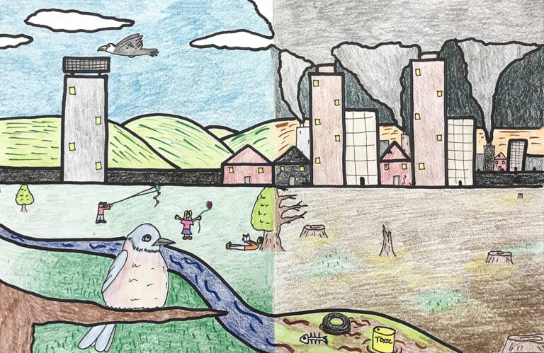 dichotomous landscape teacher example