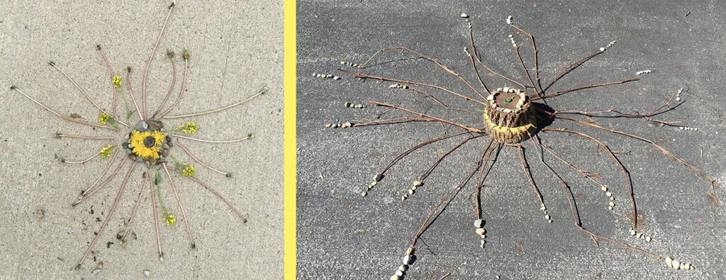 goldsworthy example