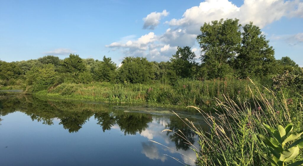 nature view