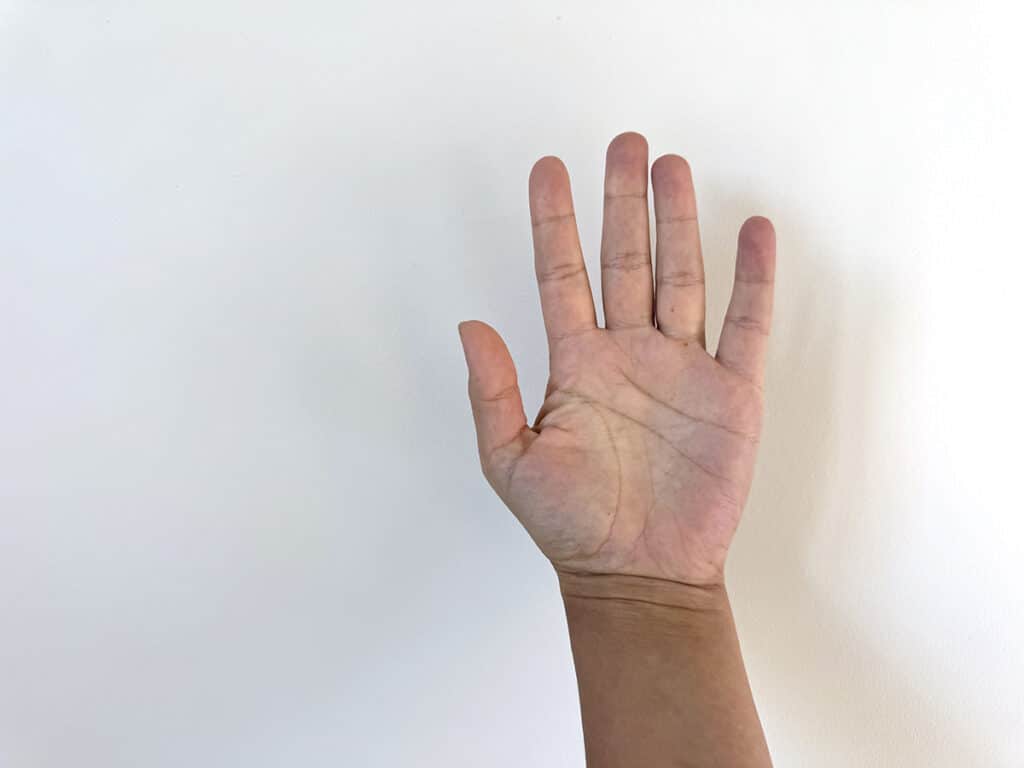 raise hand