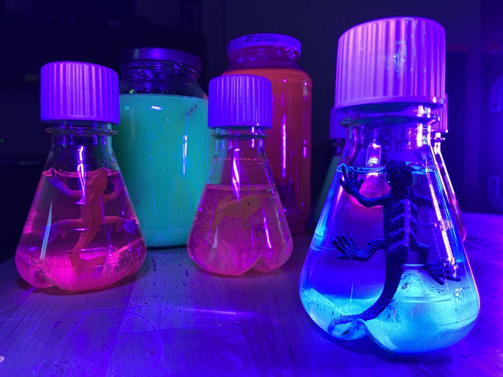 beakers