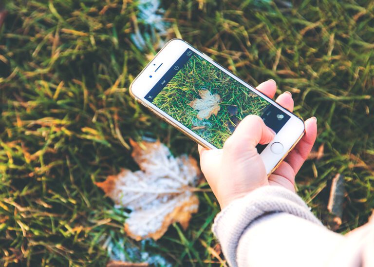 phone taking picture of a leaf