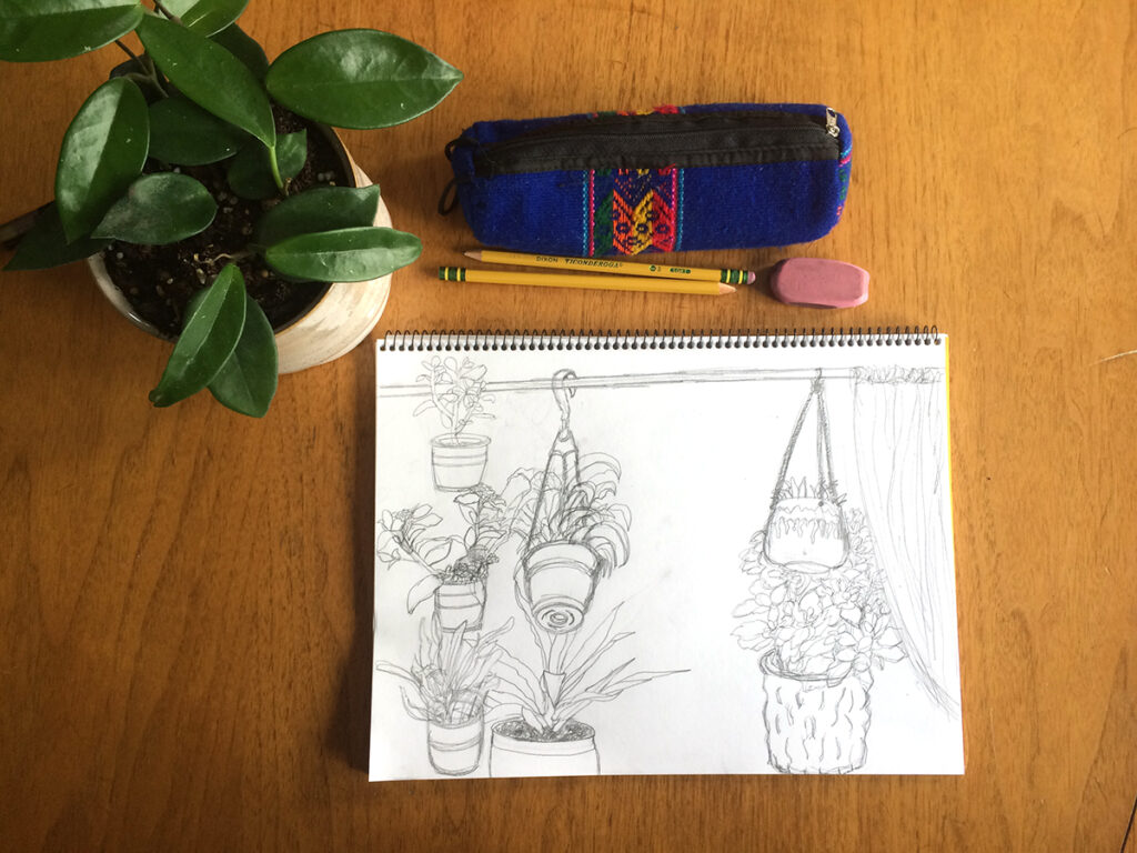 plant drawing sketchbook