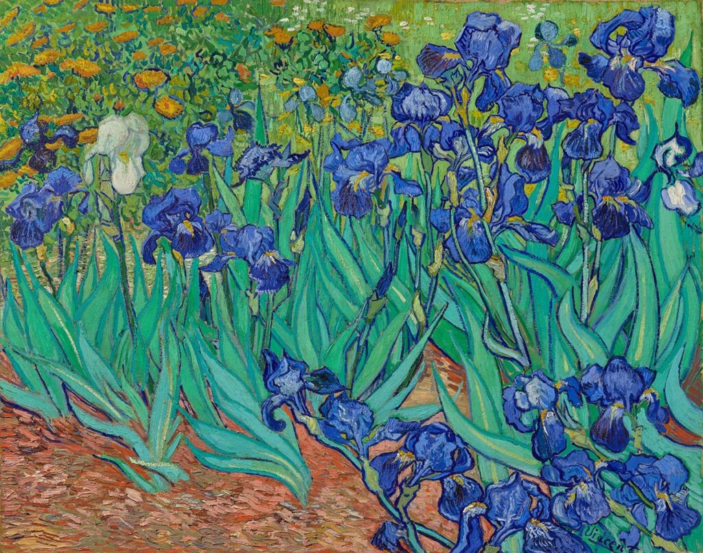 irises