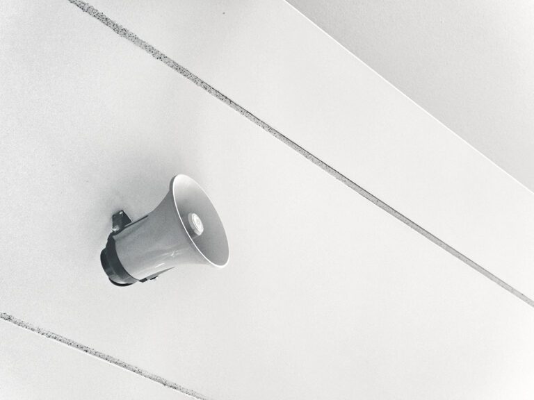 loud speaker