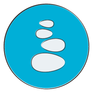 Pillar 8 - Whole Person